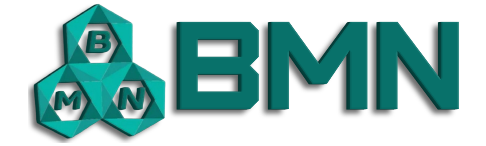 BMN logo